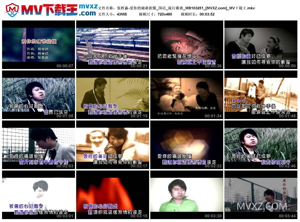 张胜淼-爱你的痛谁能懂_国语_流行歌曲_MB103251